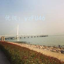 δ